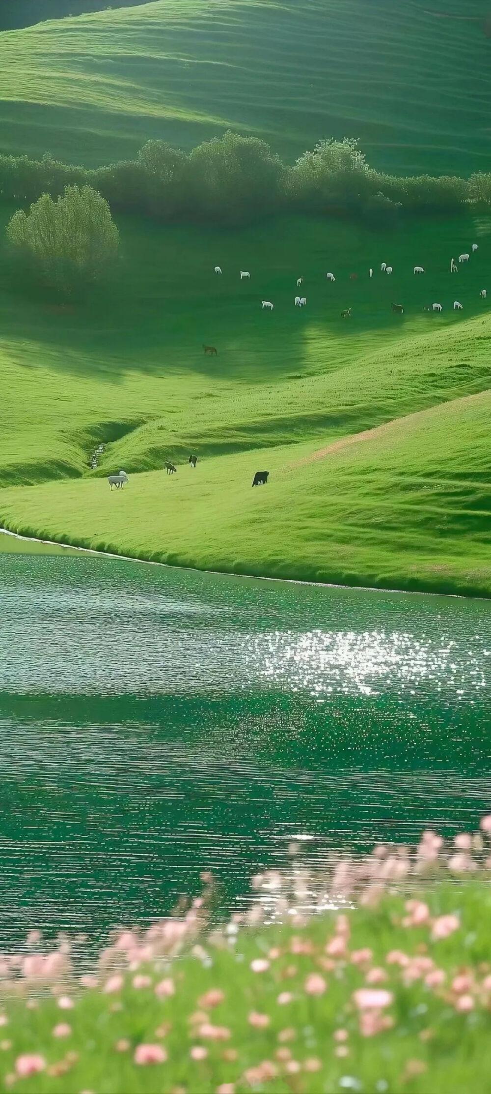 有些鸟儿是关不住的，它的每一根羽毛都闪耀着自由的光辉。——斯蒂芬·金《肖申克的救