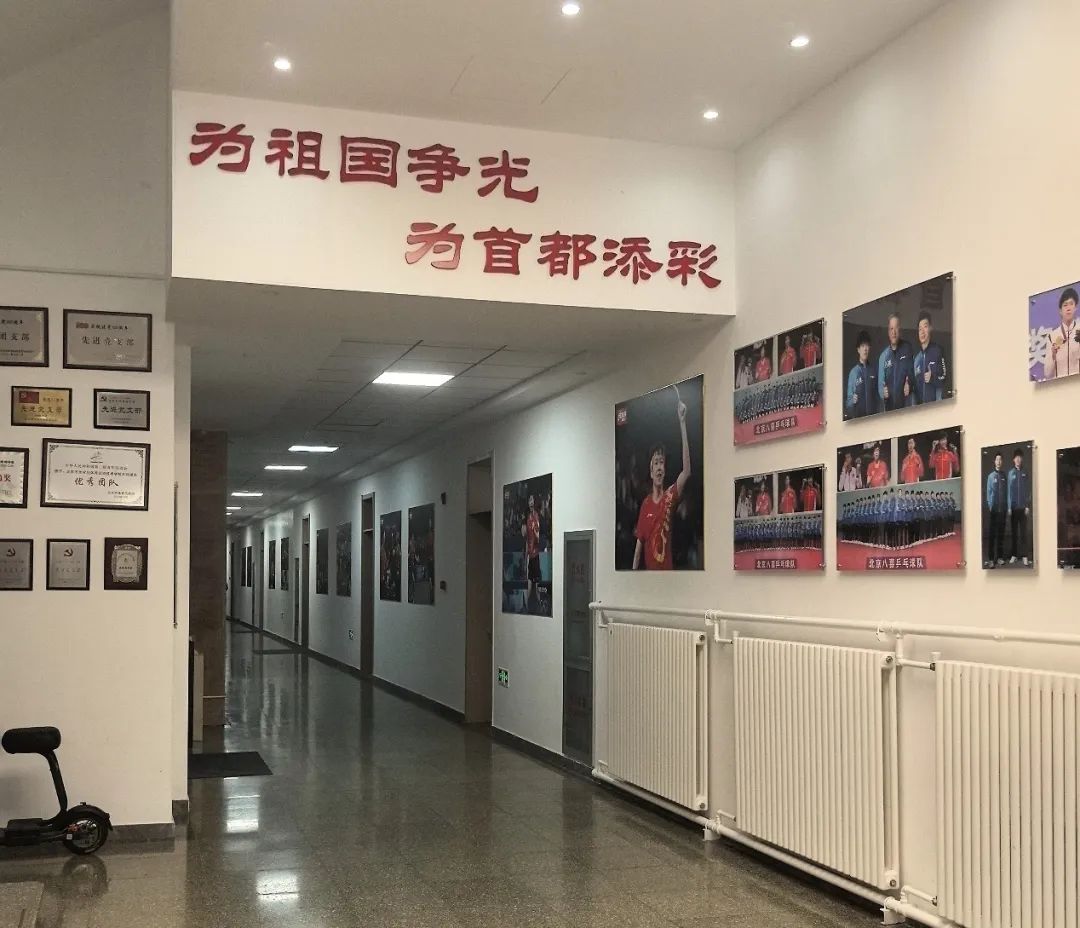 张雷：备战全运会，北京八喜乒乓队将于10月集中合练 （看看就行了，给我一种前段时