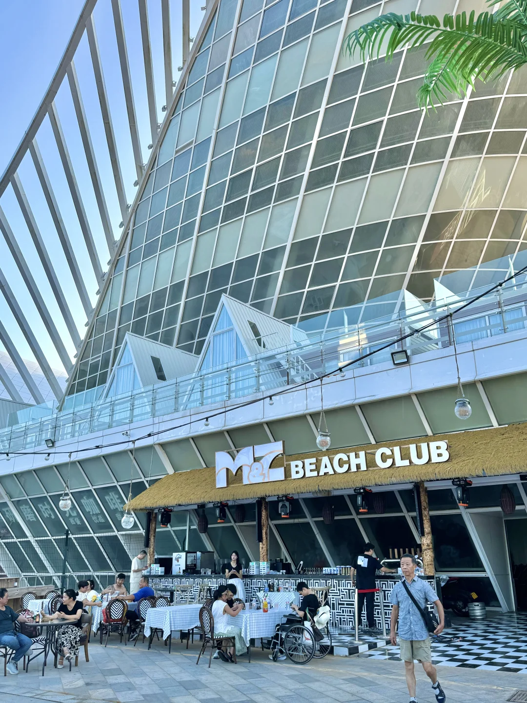 青岛人有自己的lalaland🏝️🫧