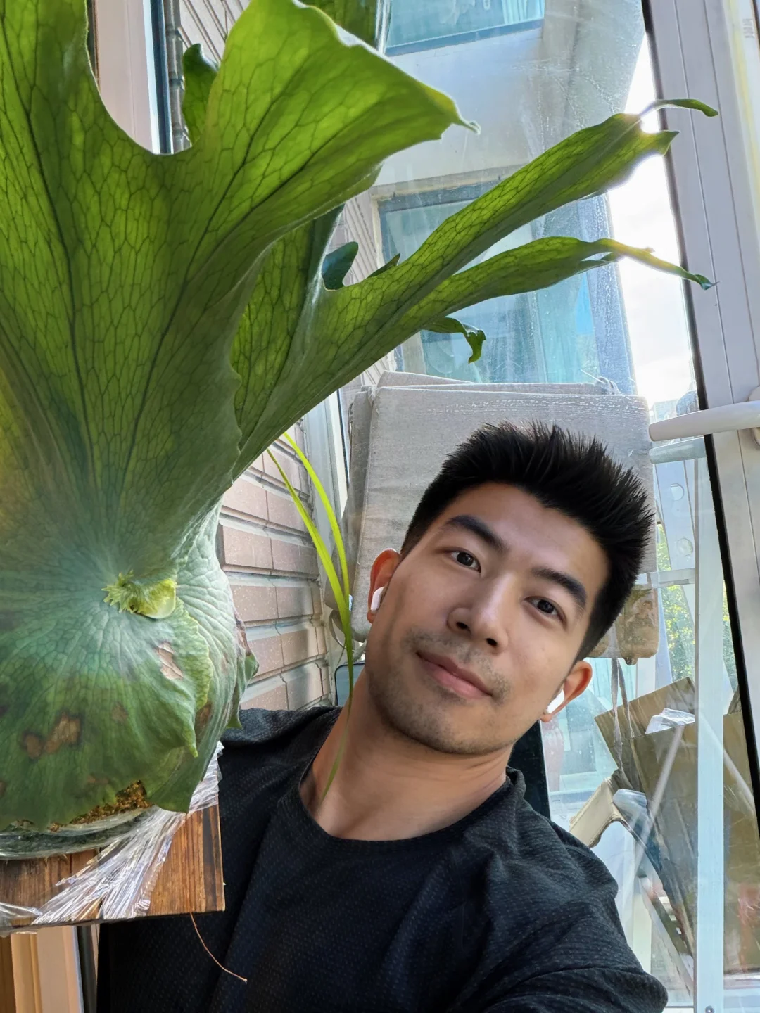 巨蟹座给养植物和恋爱的 8 条建议
