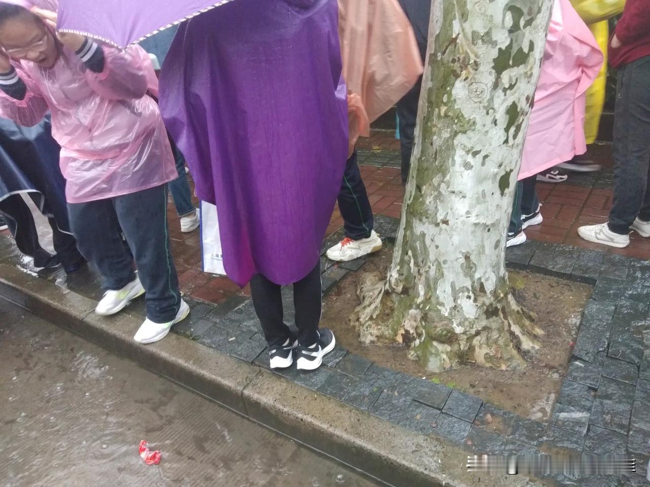 今天，上海是台风夹着暴雨席卷大地，许多亲朋好友纷纷发信息或者打电话关心我，最令我