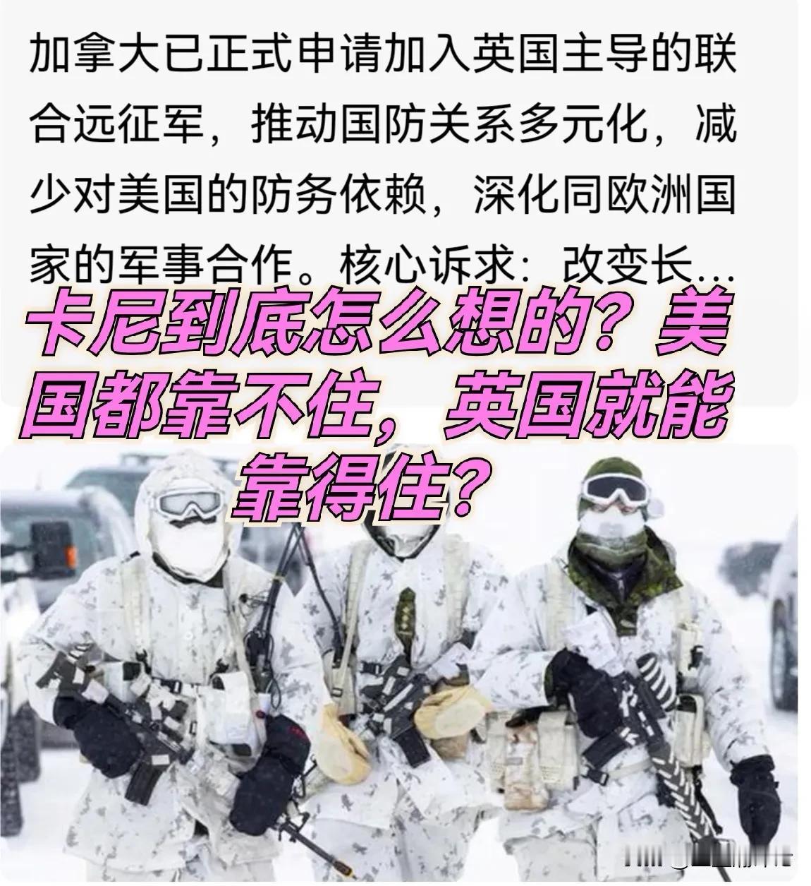 我今天看了一个路透社的消息，说加拿大已正式递交申请，拟加入由英国主导的联合远征军
