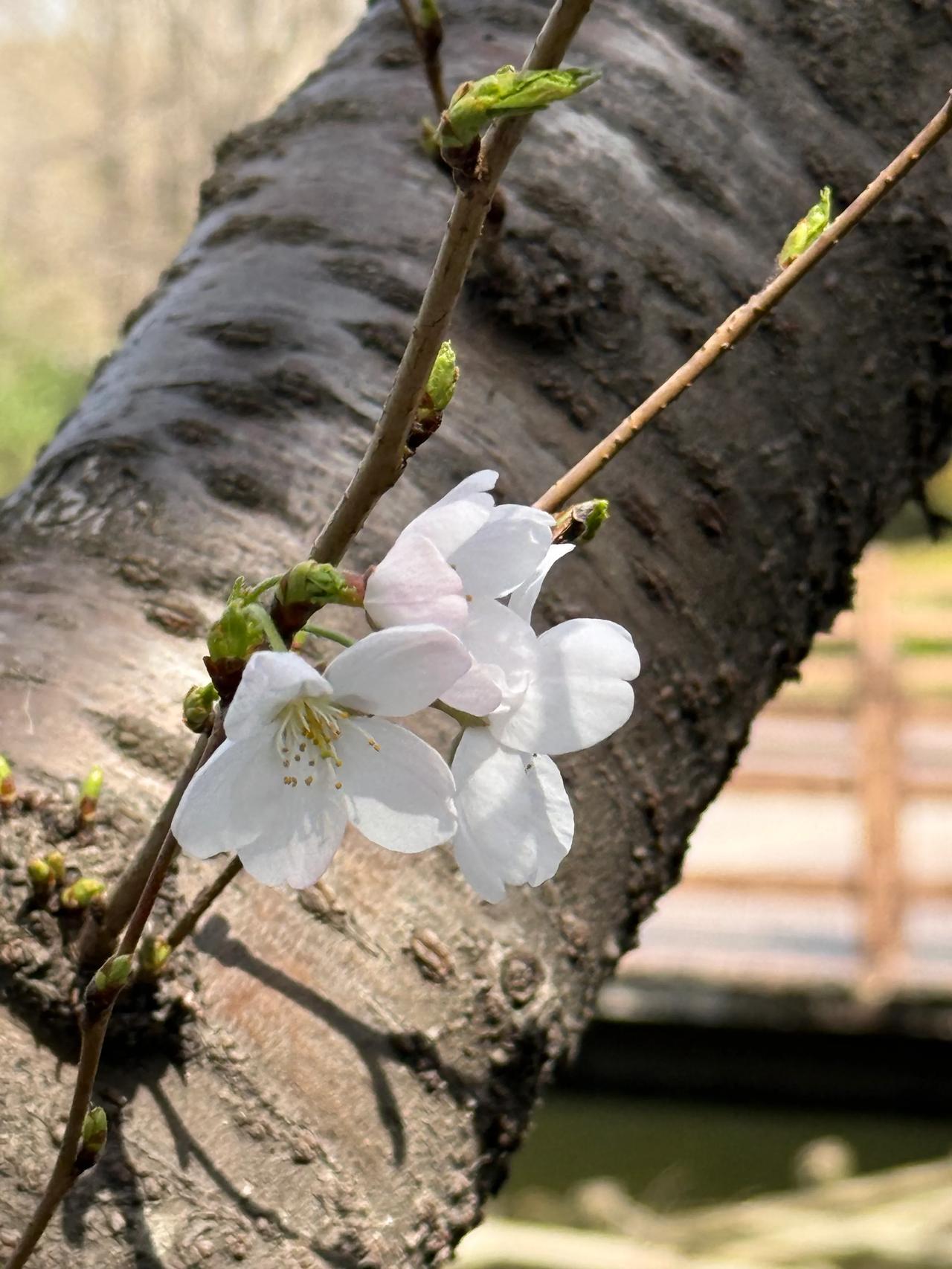 季节之魅