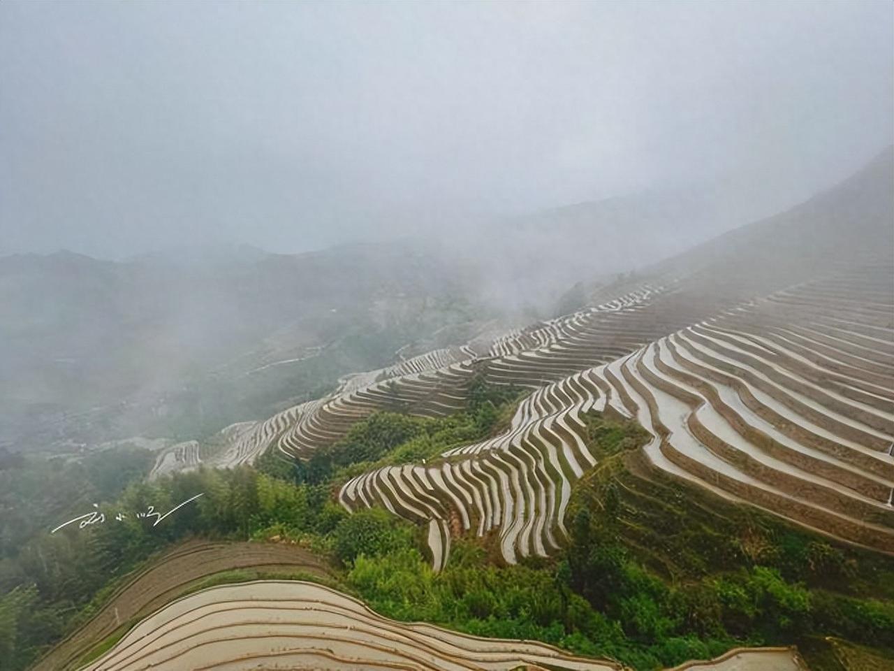 广西龙脊梯田是当地极具代表性的旅游地，也是国家4A级景区，原名龙胜梯田，位于龙胜