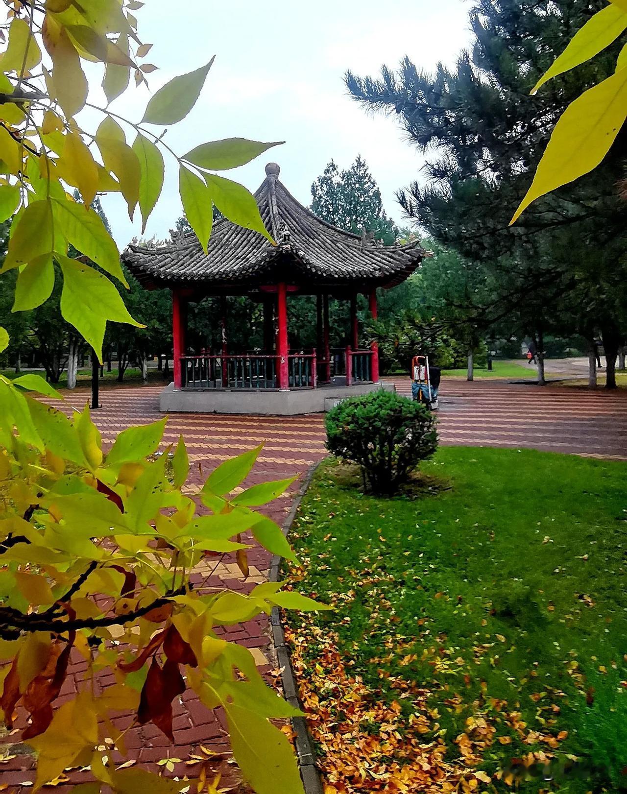 （原创）
大同公园随手拍秋景