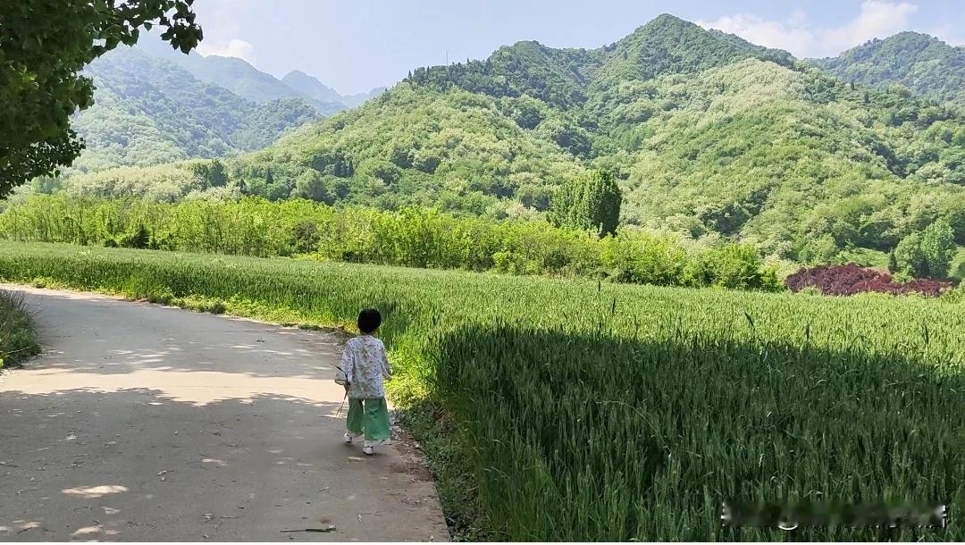 五一小长假，距离西安一个多小时，秦岭终南山下扯袍峪、抱龙峪等峪口周边人少景美风景