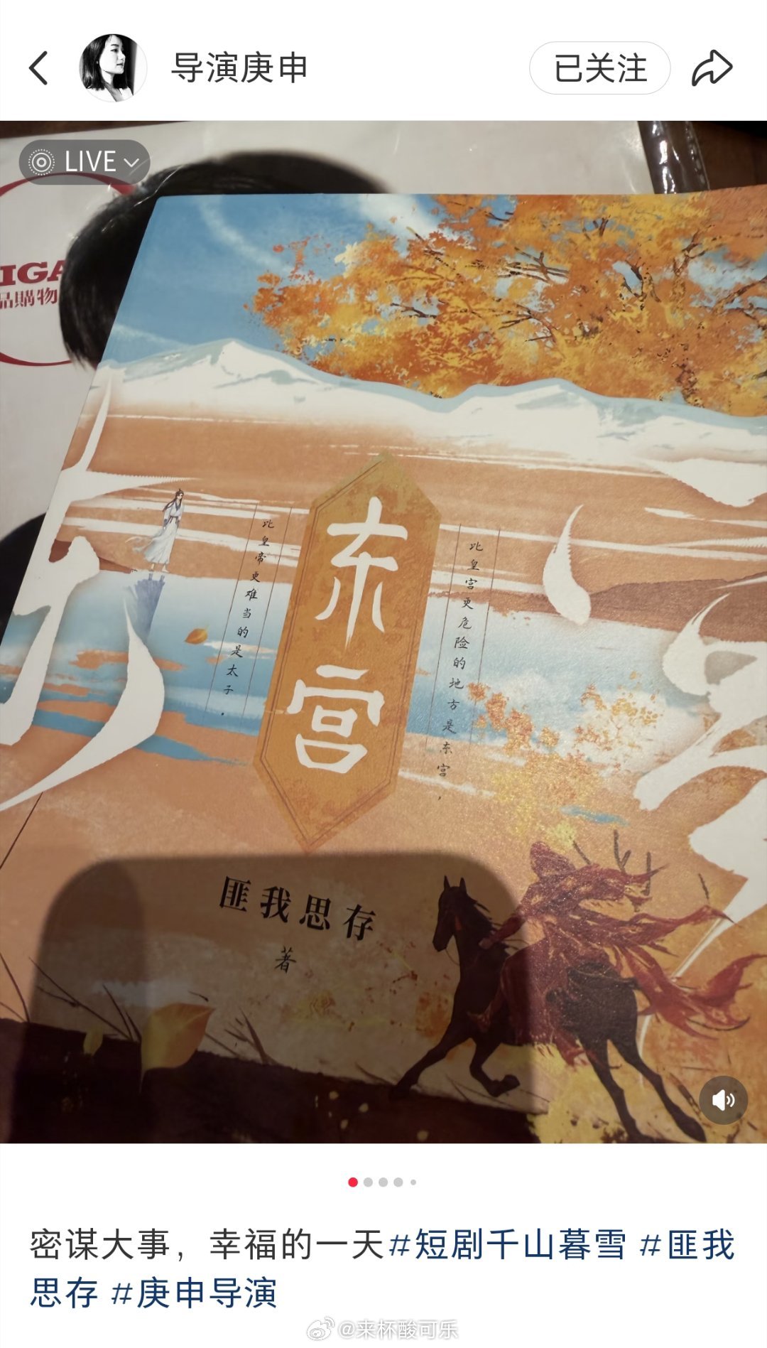 导演话里话外匪我存思《东宫》《冷月如霜》《佳期如梦》都要拍短剧了 