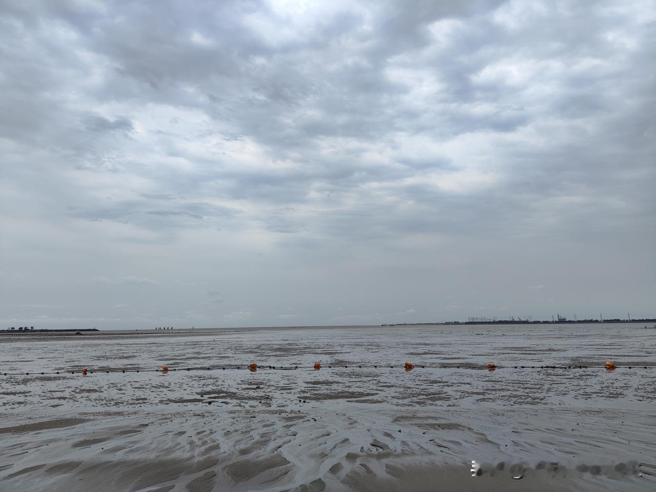 来沿海多年，对始终没有去赶过海这件事的一点遗憾，终于在昨日弥补上了。
昨天放假，