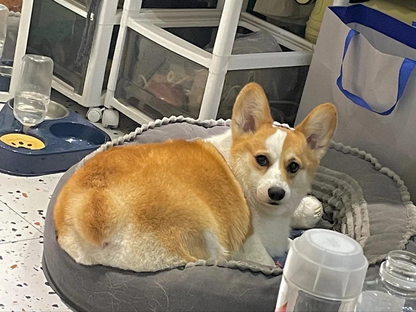 有人帮看看 左滑这是长残了吗