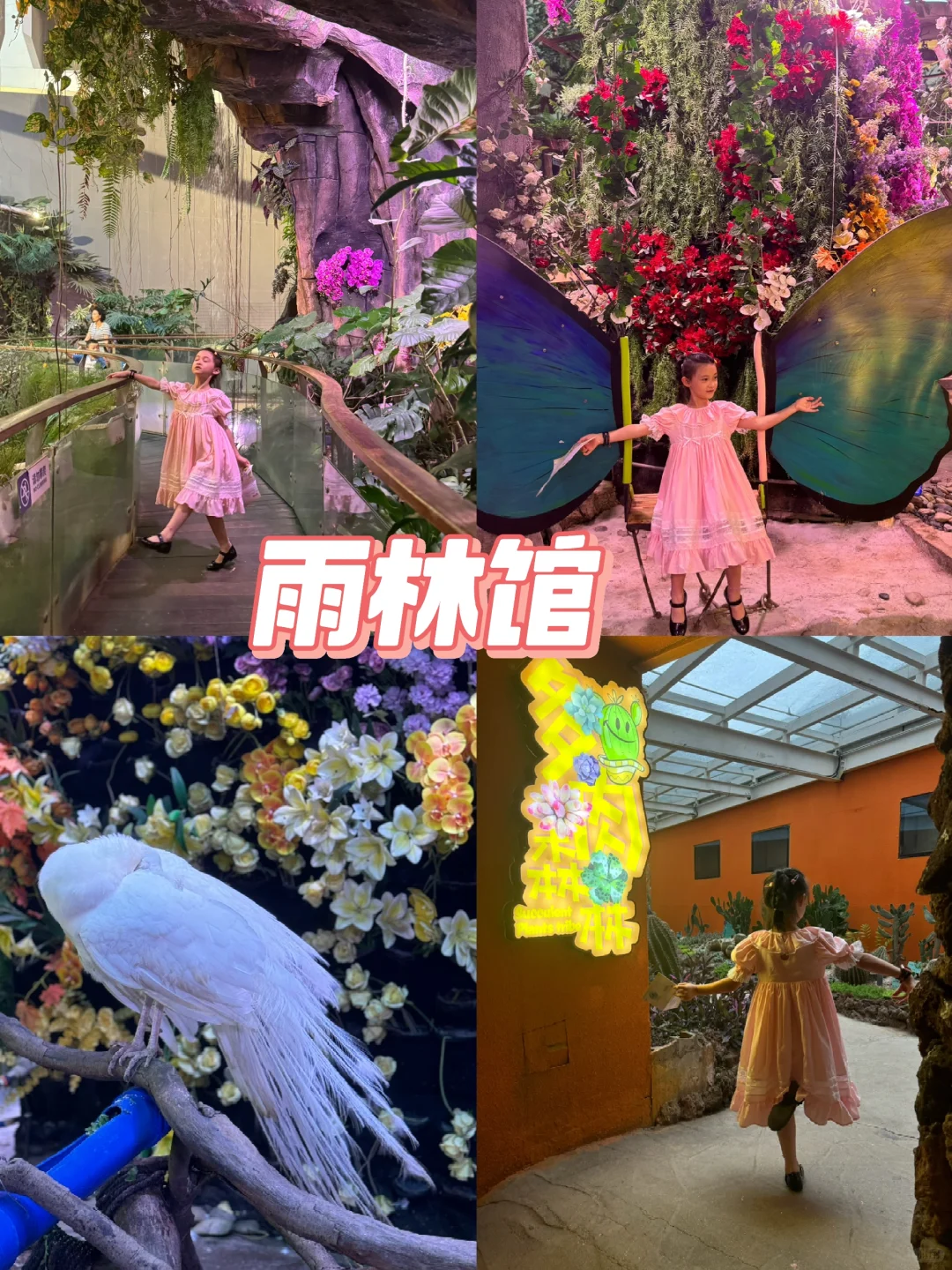 正佳雨林馆一刷