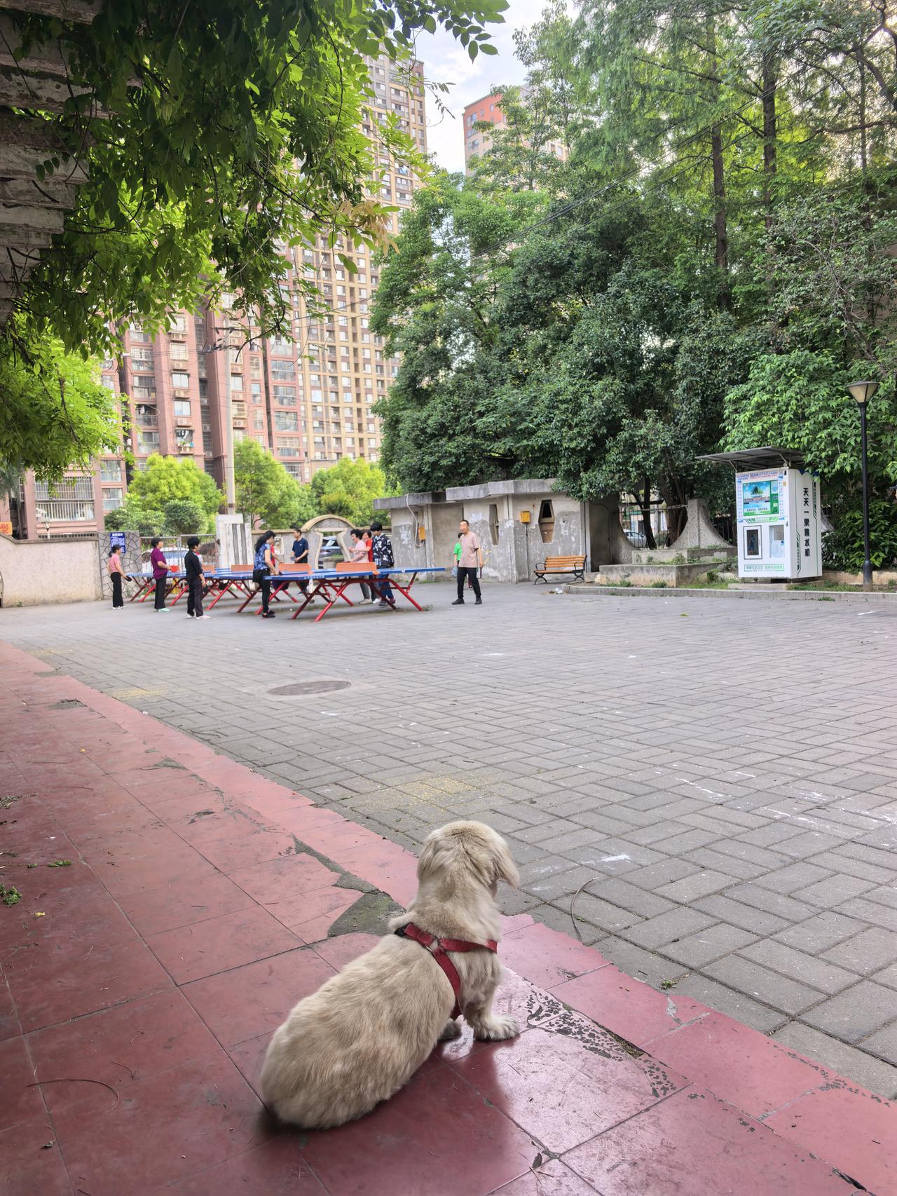 戒酒感言
 喝酒整整四十年，今天是我戒酒第三百零七天，一口酒都没碰过。
 
清早