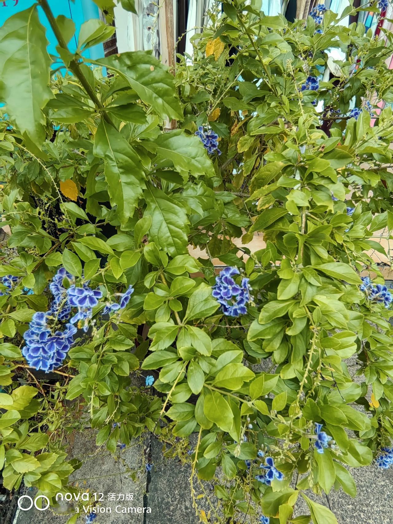 你所在城市养老金怎样？        我所在城市湖南。大家都说湖南经济好，但退休