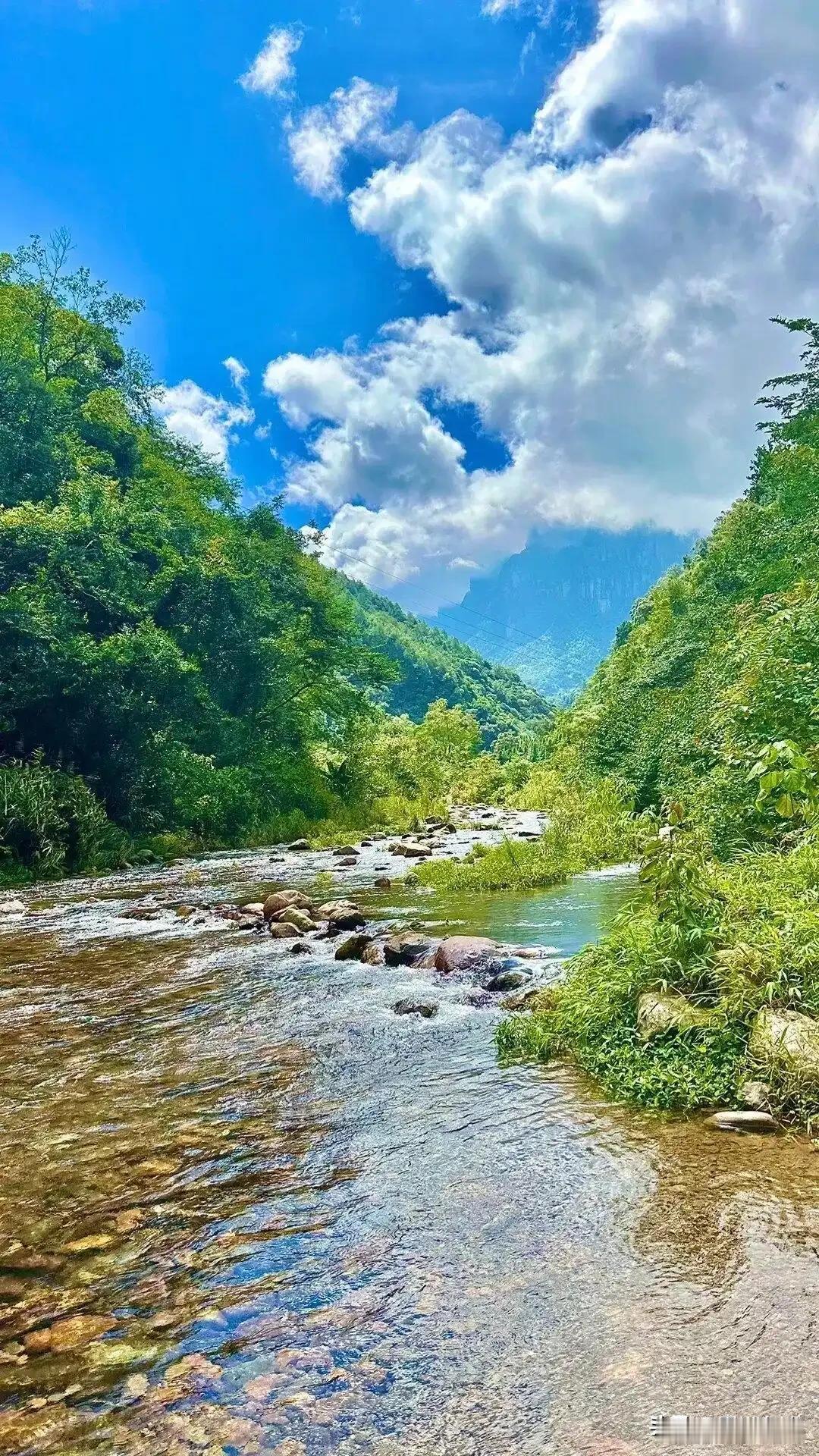 我爸一到夏天，就惦记着进秦岭。

不挑地方，只要进山就行。今年选的是柞水营盘，一