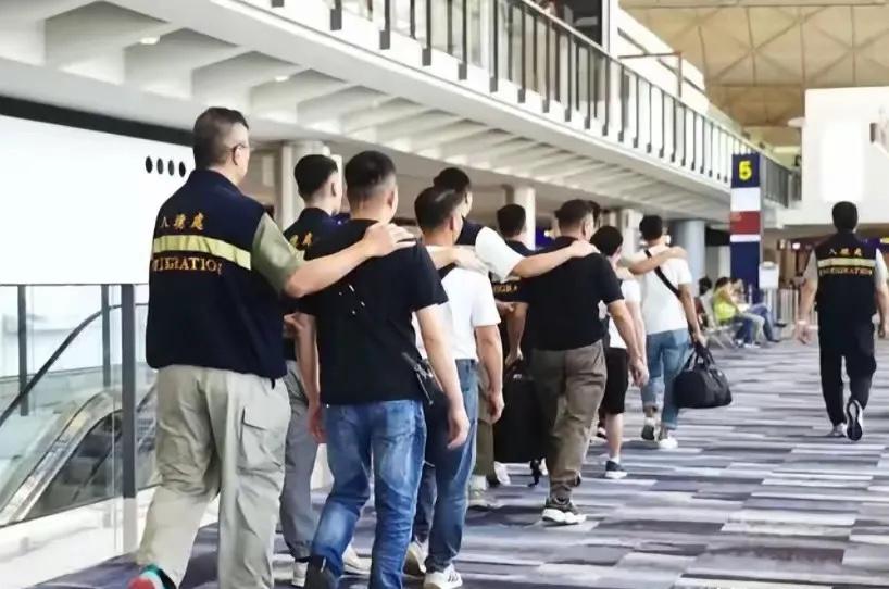 国家正式重拳出手！全国大范围整治非法移民、非法滞留乱象。多部门联动严查清缴，驻外