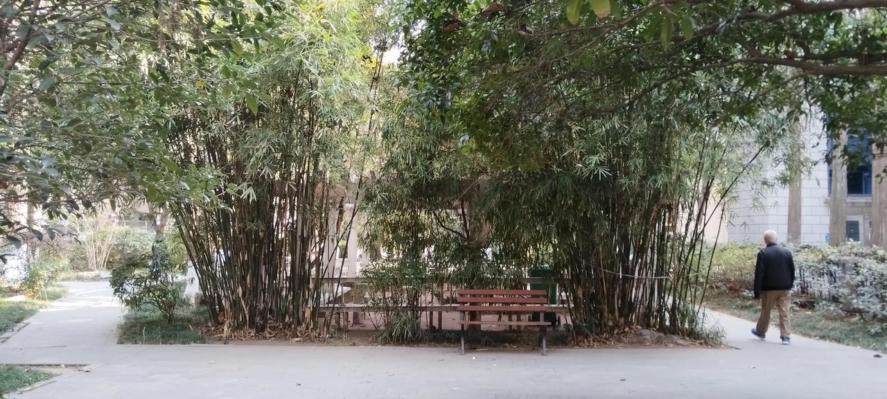 年年幸幸福福，
月月平平安安。