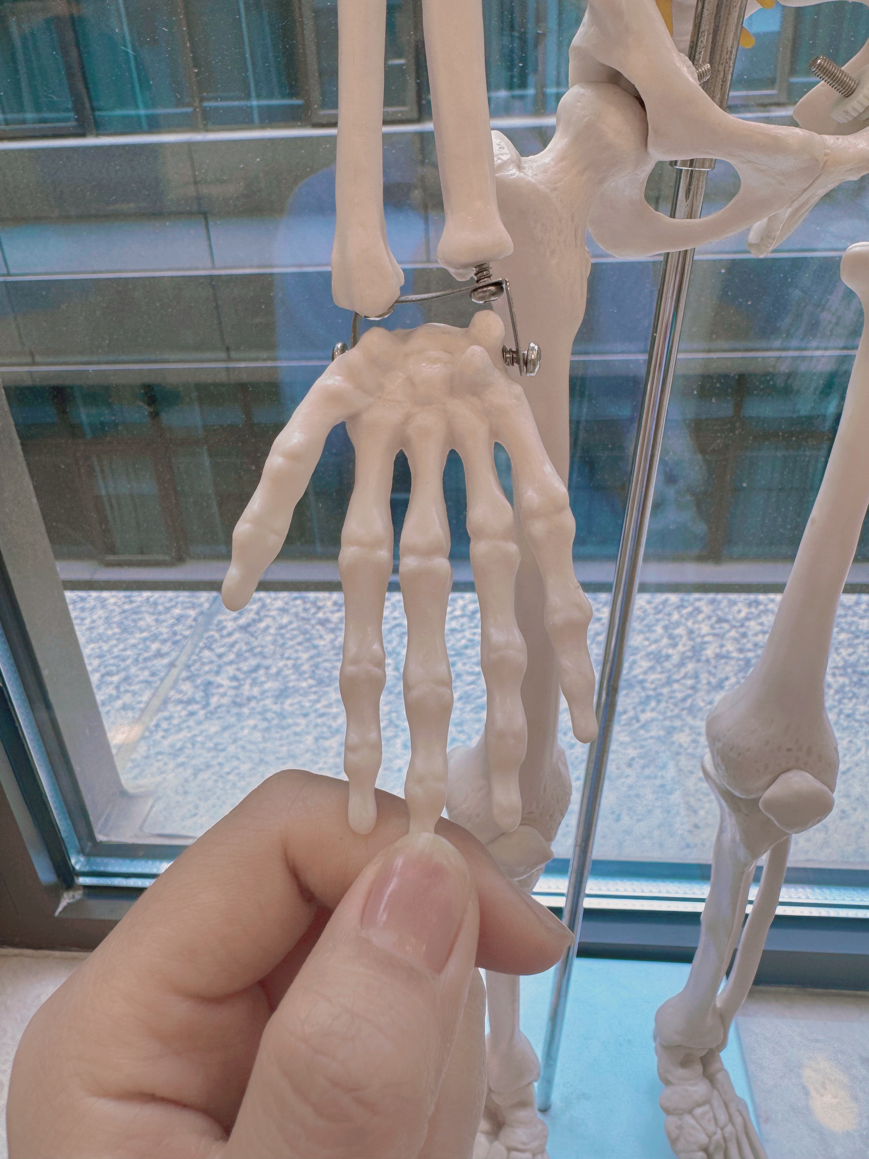 生活手记  你好，朋友 