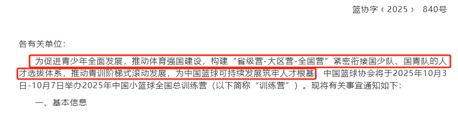 才看到这个文件，这句话挺有分量的。“构建“省级营-大区营-全国营”紧密衔接国少队
