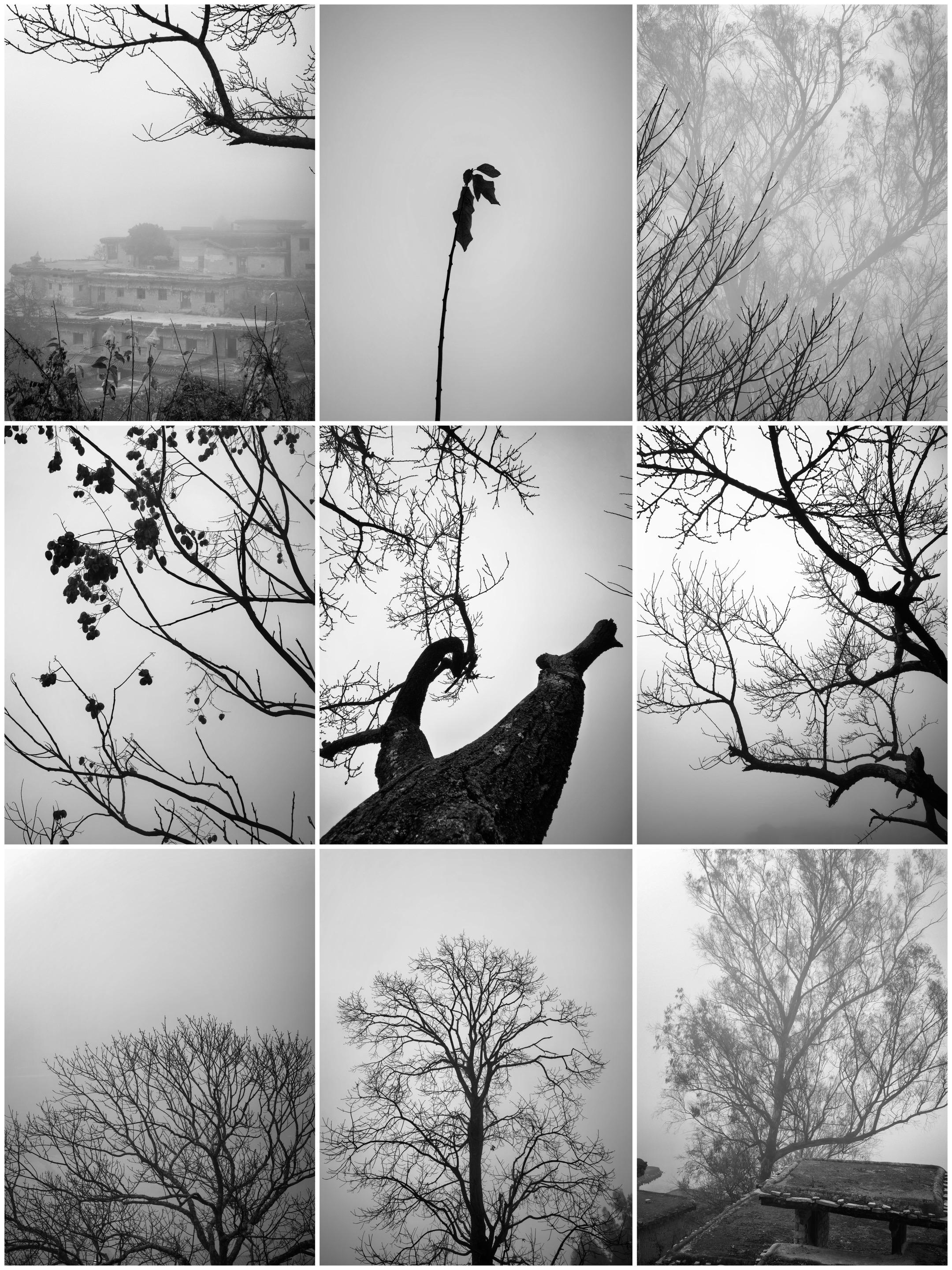 手机摄影笔记｜在城子古村的晨雾里，邂逅黑白交织的慢生活