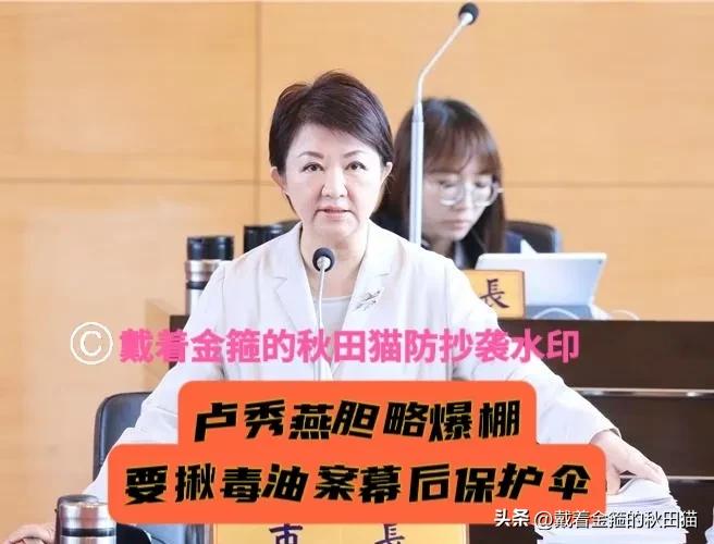 卢秀燕胆略爆棚，誓要揪出毒油案幕后保护伞！怒批民进党当局三大反常乱象，层层排除后