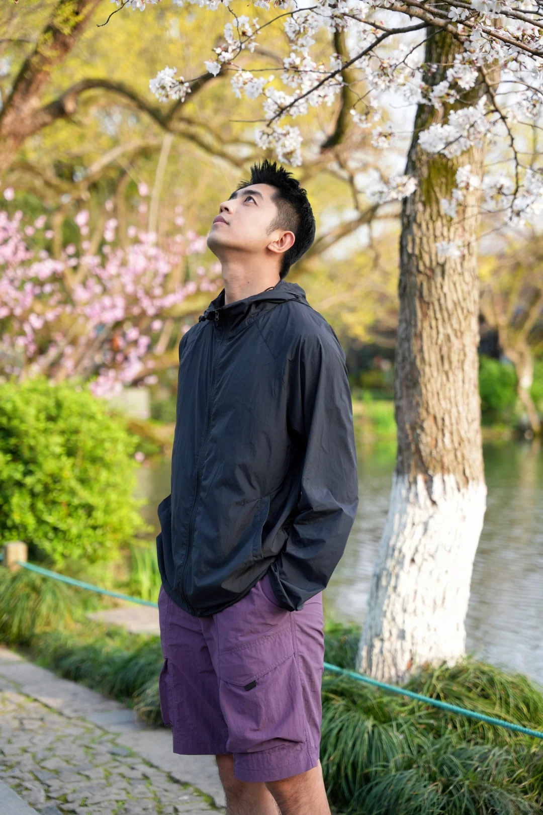 杭州西湖里的小岛，离开杭州前一定要来一次
