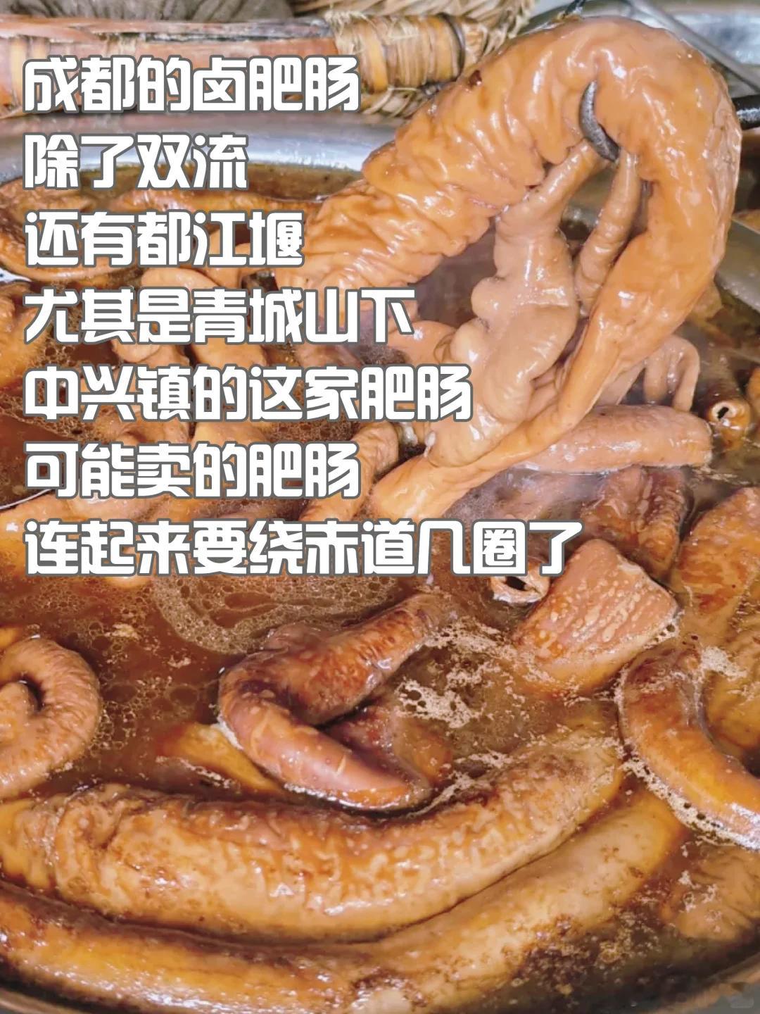 成都美食推荐·都江堰·中兴王肥肠成都的肥肠，除了双流，还有都江堰，尤其是青城山下