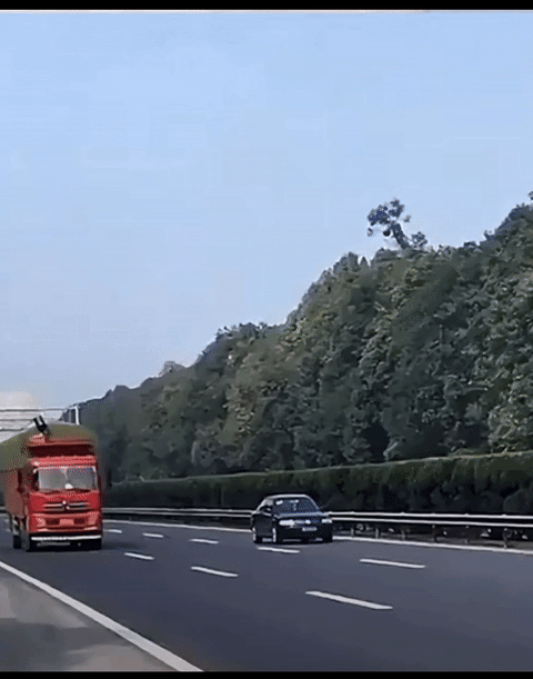 高速公路上，汽车出了故障，在能移动的情况下，必须先开到应急车道，打双闪，并在车后