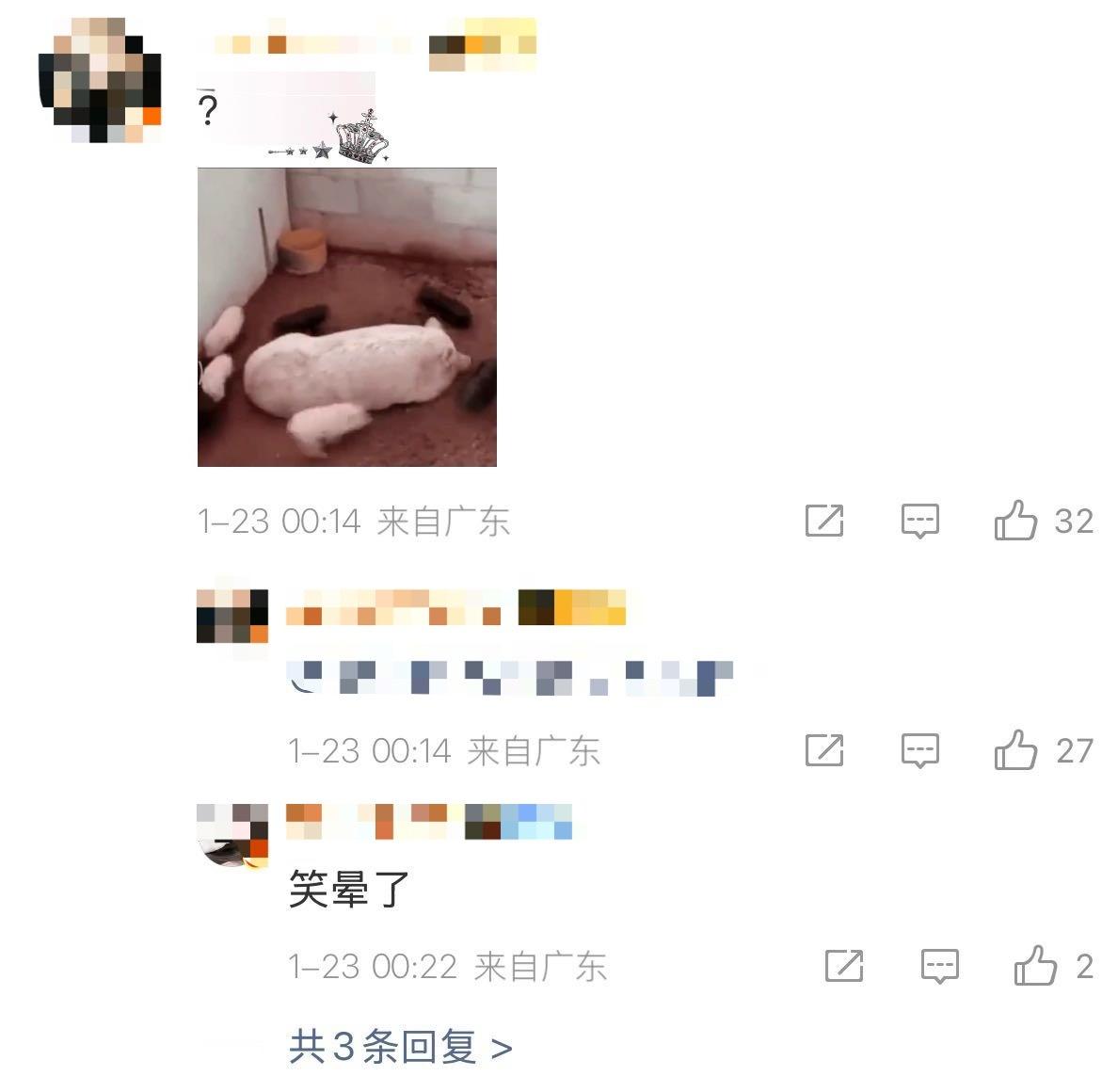 如何看待李河民粉丝因为jayjay 粉丝发的表情包 pf 