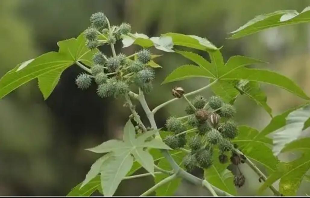 虚假广告泛滥，根本原因在于利益驱使。其次是人员素质培养不足，再者是市场监管不力。