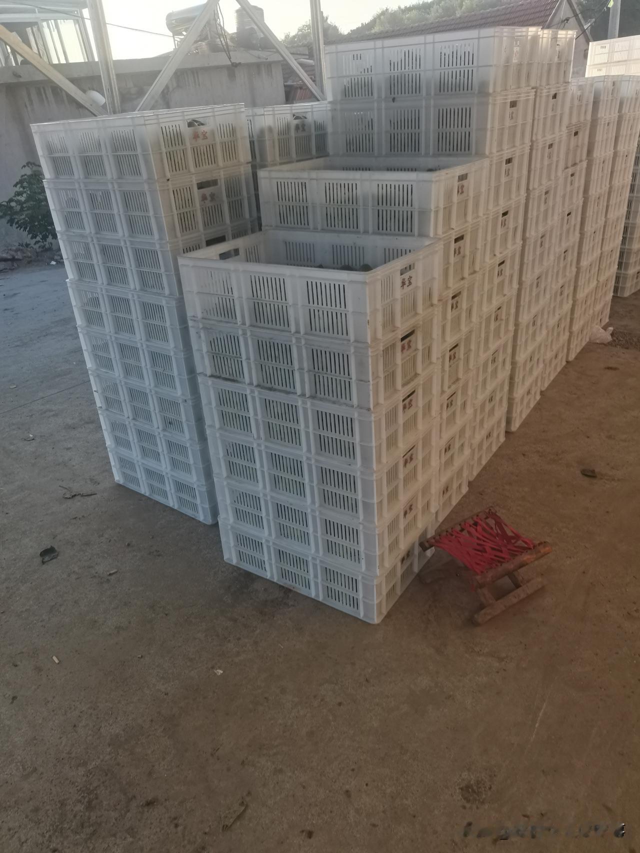 今天的无花果又涨价了。
涨价的主要原因就是果子越来越少，而且最近这天气干旱少雨。