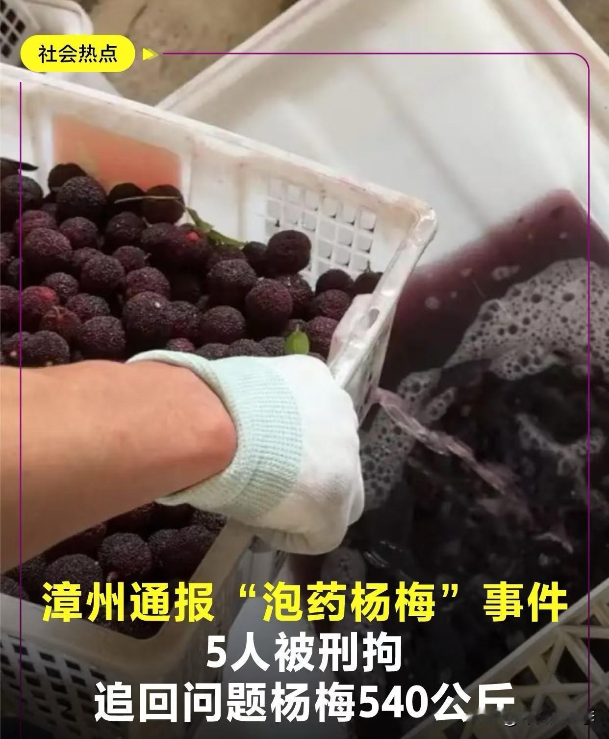 以“零容忍”守好食品安全底线！
近日，媒体曝光漳州市龙海区部分杨梅收购点违规使用