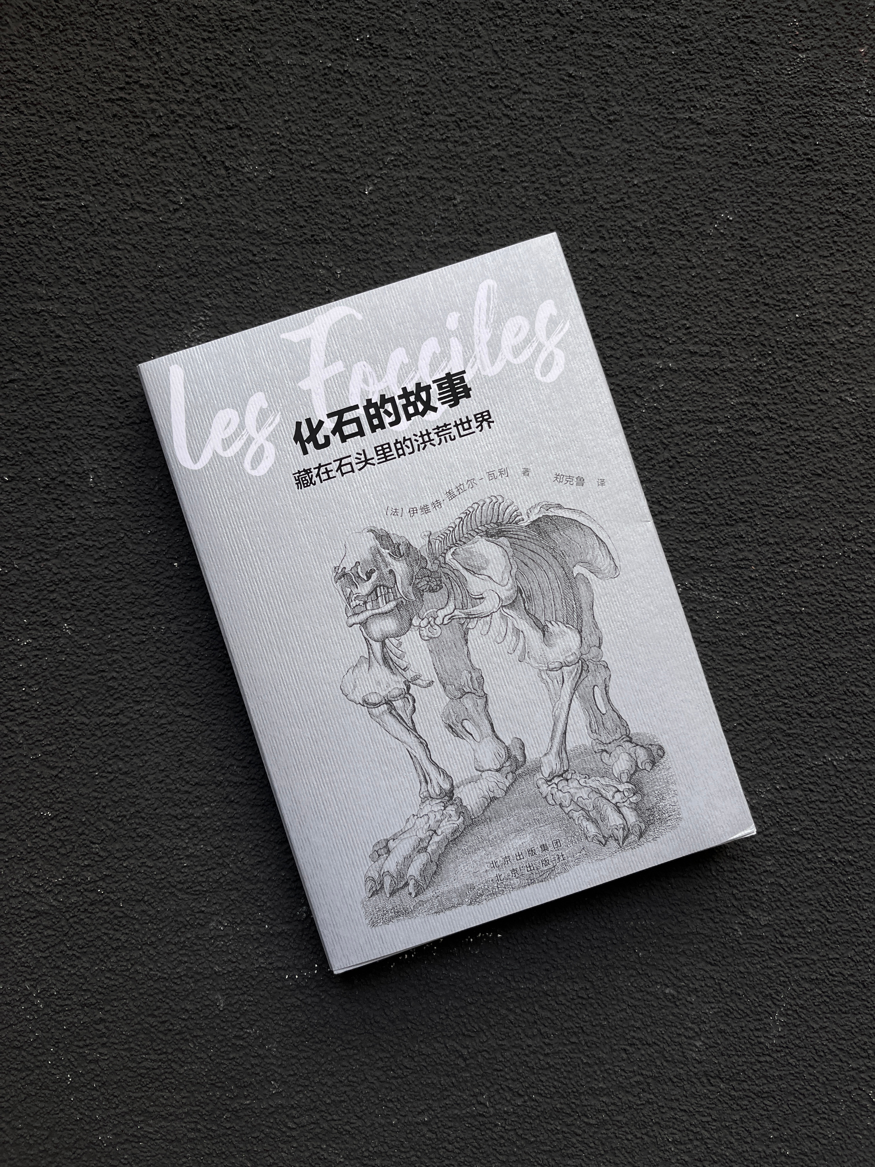 【粉丝福利】 卷发评论，10月20日揪3位粉丝送一本《化石的故事》。这是一本化石