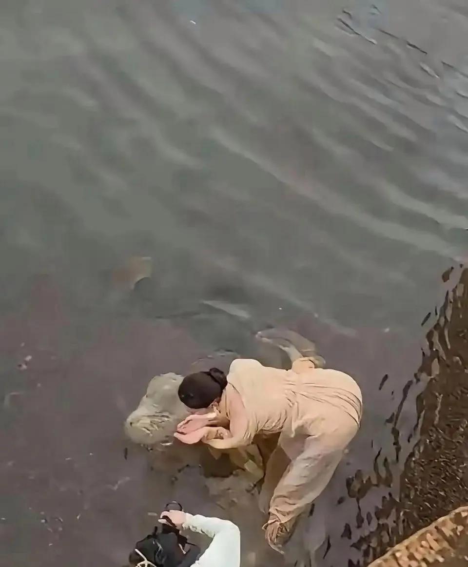 这是在劈叉吗？