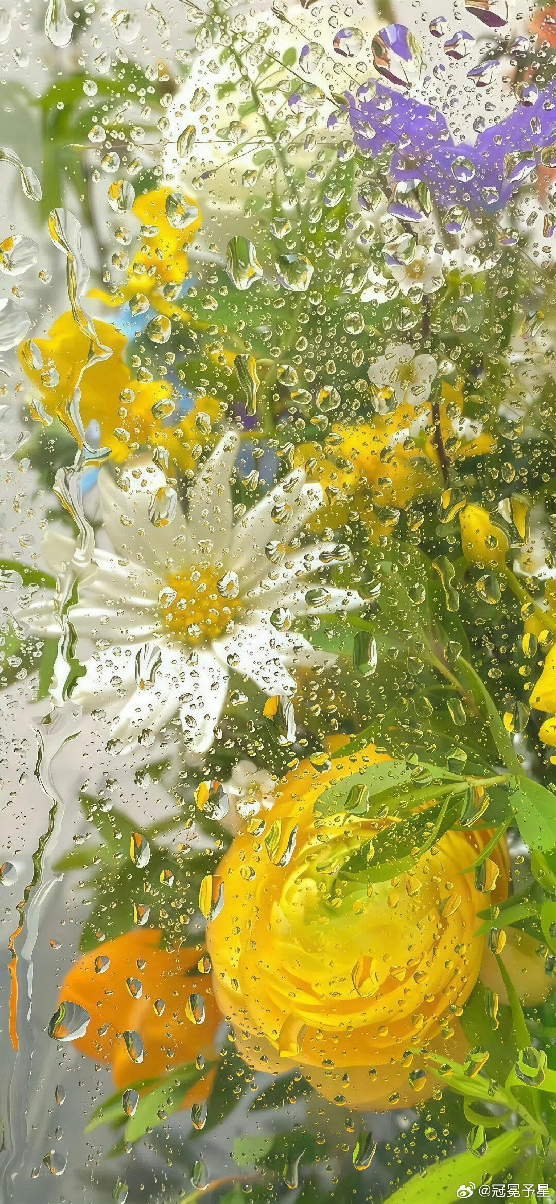 夏日解暑壁纸丨聊天背景图丨全屏锁屏壁纸 