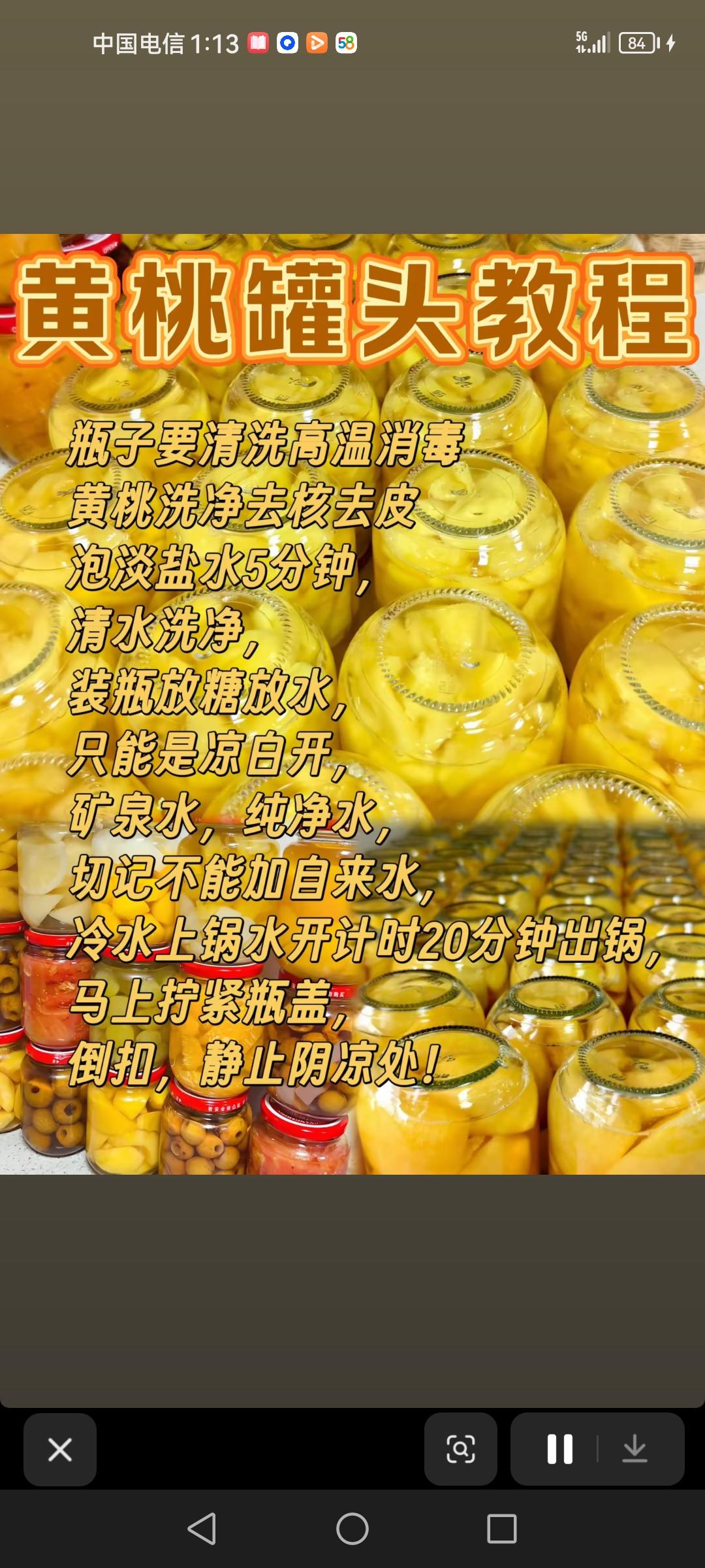 黄桃罐头教程，贵阳糯米饭，水煮带壳花生，麻辣烤鱼配方