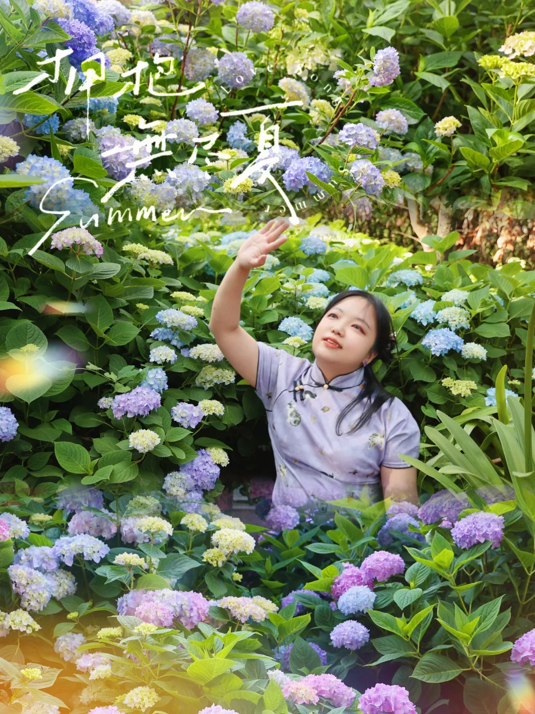 昆明人嘴太严了吧|郊野公园了藏了个莫奈花