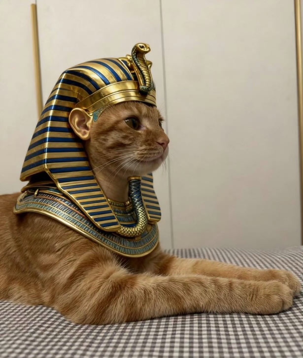 猫身人面像