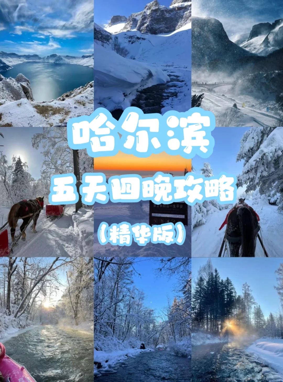 哈尔滨❄宝藏旅游包车推荐丨真的太懂女生了