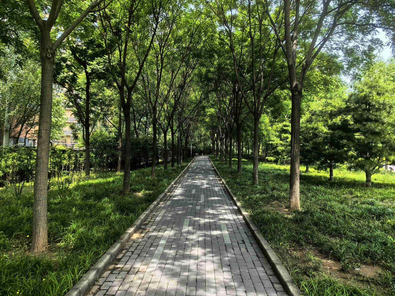 我的今日状态：😁轻松愉快
我这里的天气：☀️晴天