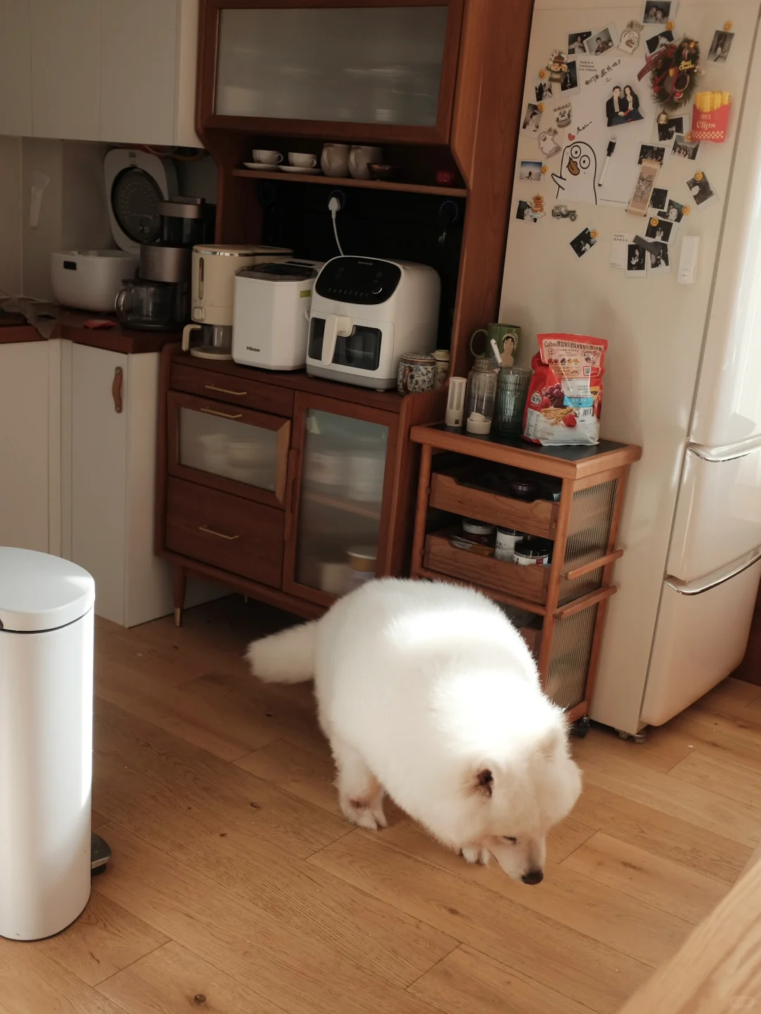 可以送他去上班吗？