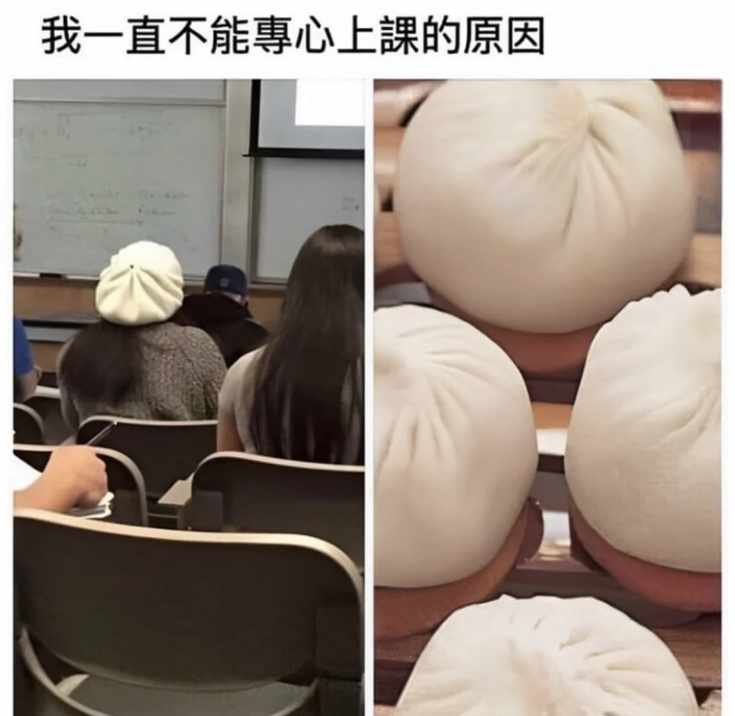 👋🐾本周搞笑梗图来啦✨
