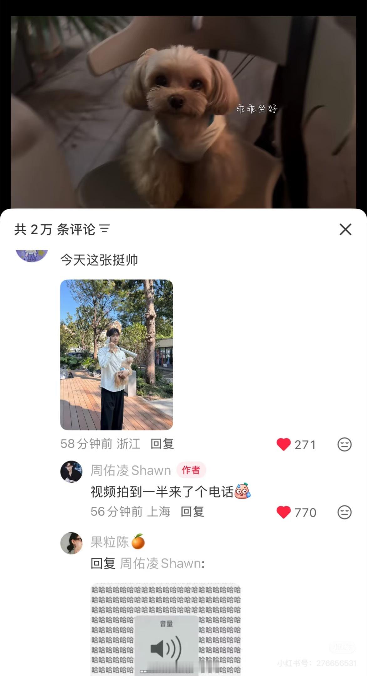 哈哈哈哈，堪比柳宝拍的伞头人！周哥你别太抽象啊[泪]柳周cp[超话] ​​​