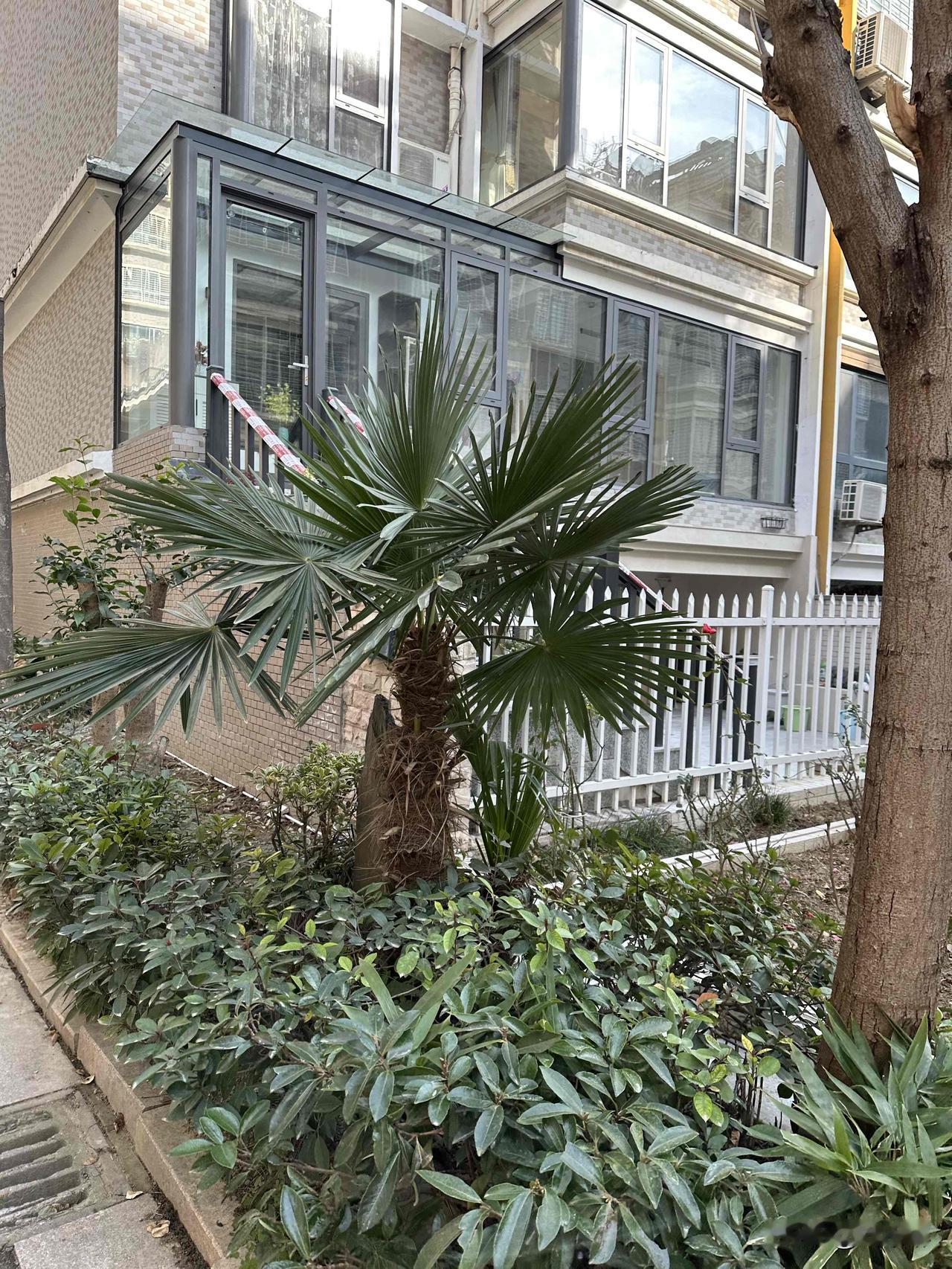 走好余生路，
笑看红尘！
从这一刻起，
对喷子的行径，一概视而不见！
论学历，实