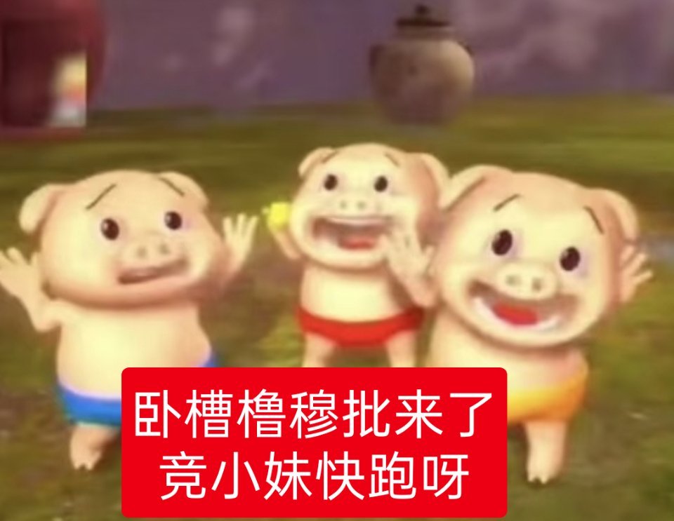 发猪瘟了竞小妹们你们怕不怕你们怕的话可以躲在狼哥哥身后了