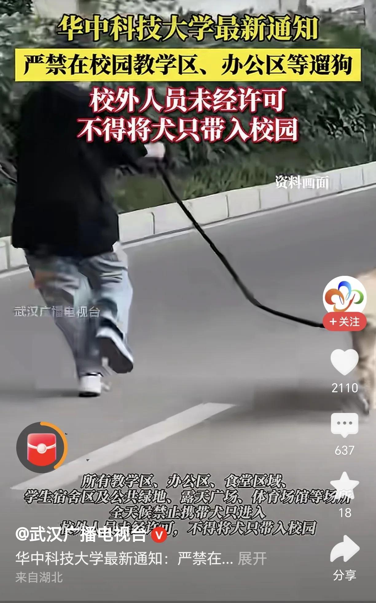 华中科技大学最近要求严禁在教学区、办公区遛狗，也禁止外校人员带狗进入校园。这则禁