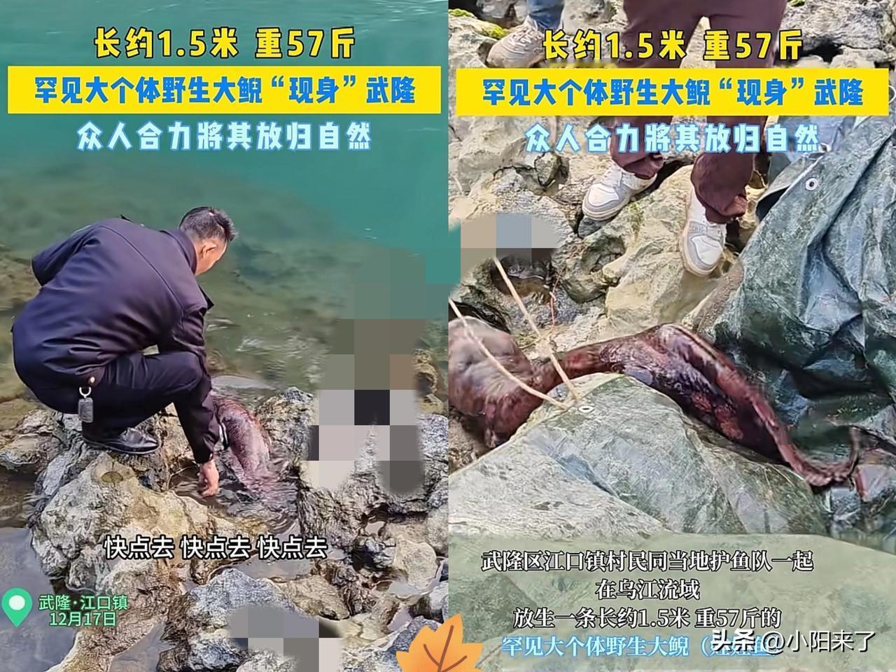 “幸亏发现及时！”重庆一村民干活时，突然发现石头缝有动静，他起初以为是“辣条”，