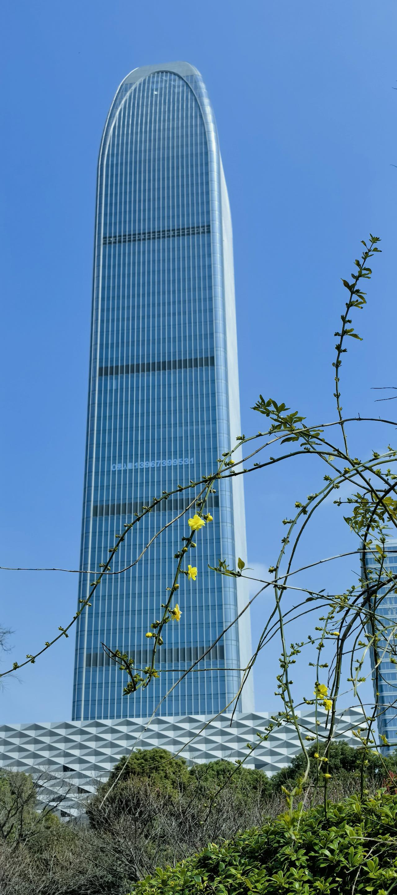 春去春又回

天很蓝。
今天的阳光，很好。

湖边的垂柳，绿得清浅。
嗯，刚刚好