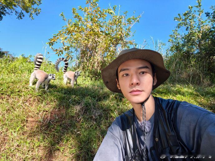 龚俊和环尾狐猴自拍龚俊镜头下的小动物们龚俊晒出和环尾狐猴的自拍啦，他眼神超温柔，