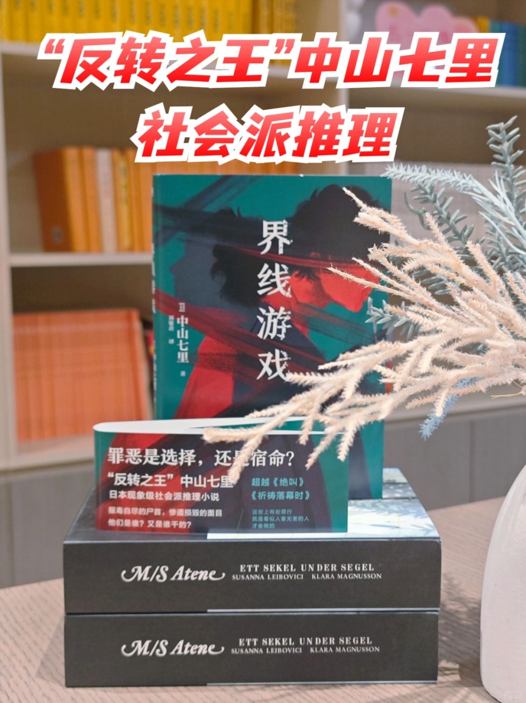 中山七里的社会派推理，真的看得人想哭～