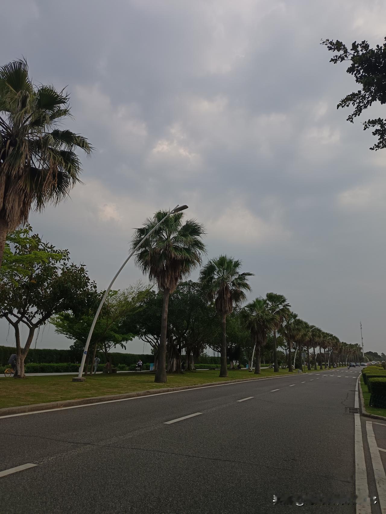 跟团游只能蜻蜓点水的在厦门鼓浪屿景点打个卡，算是来过厦门了。和闺蜜一起在黄厝沙滩