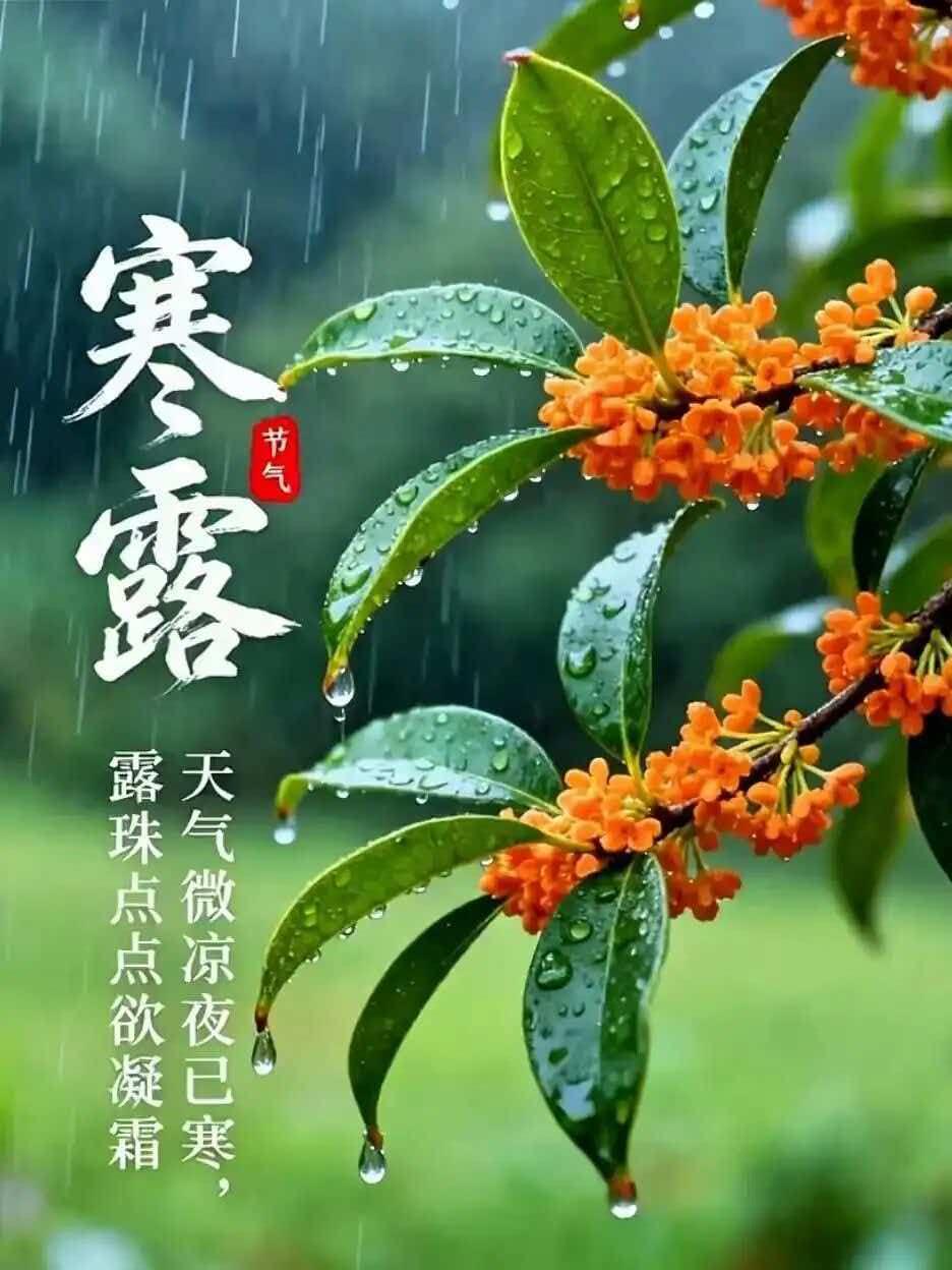 “阳历、阴历与农历”的关系，你知道吗？

10月8日骑行香积寺，休息时看见朋友发